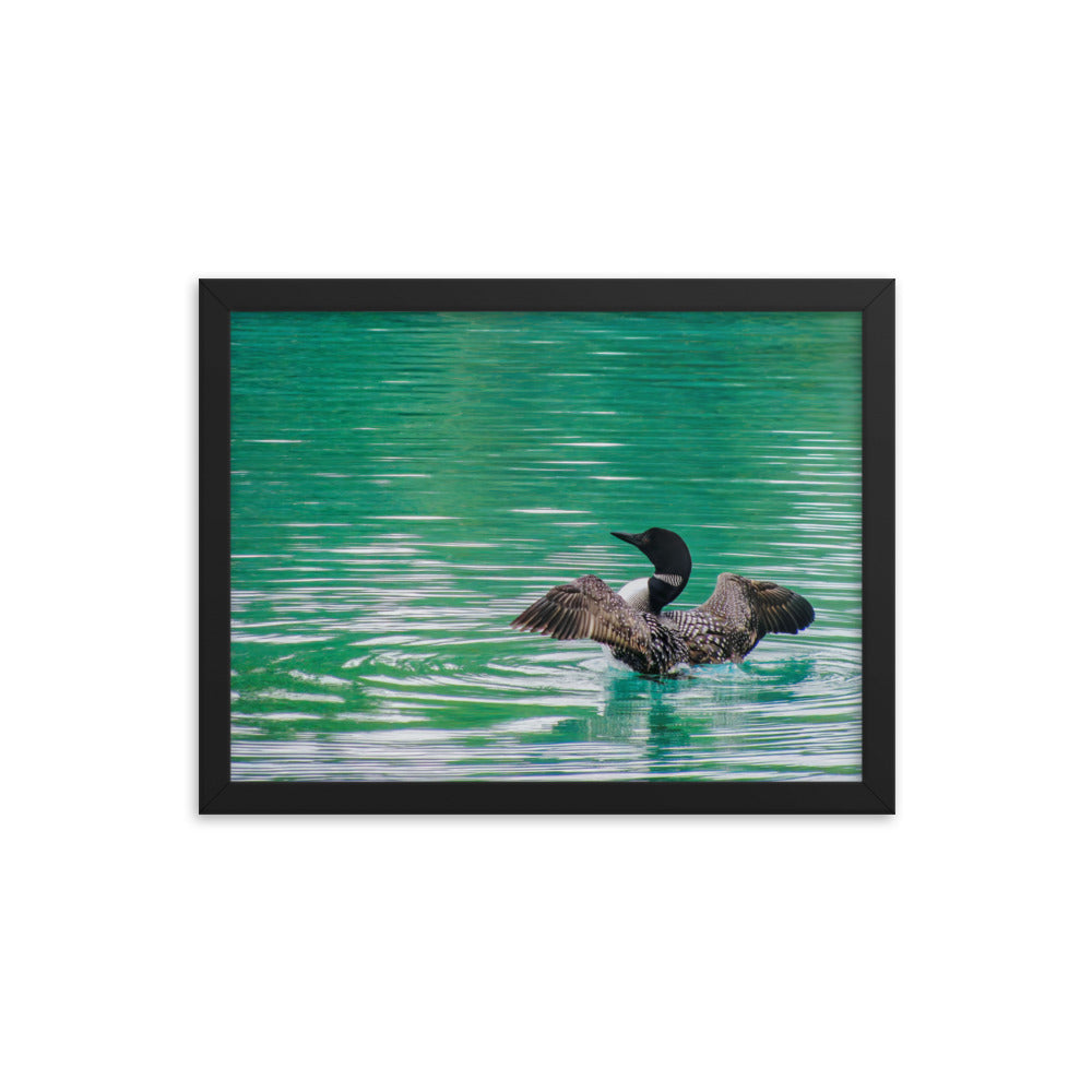 Loonie Loon  |  Framed Print