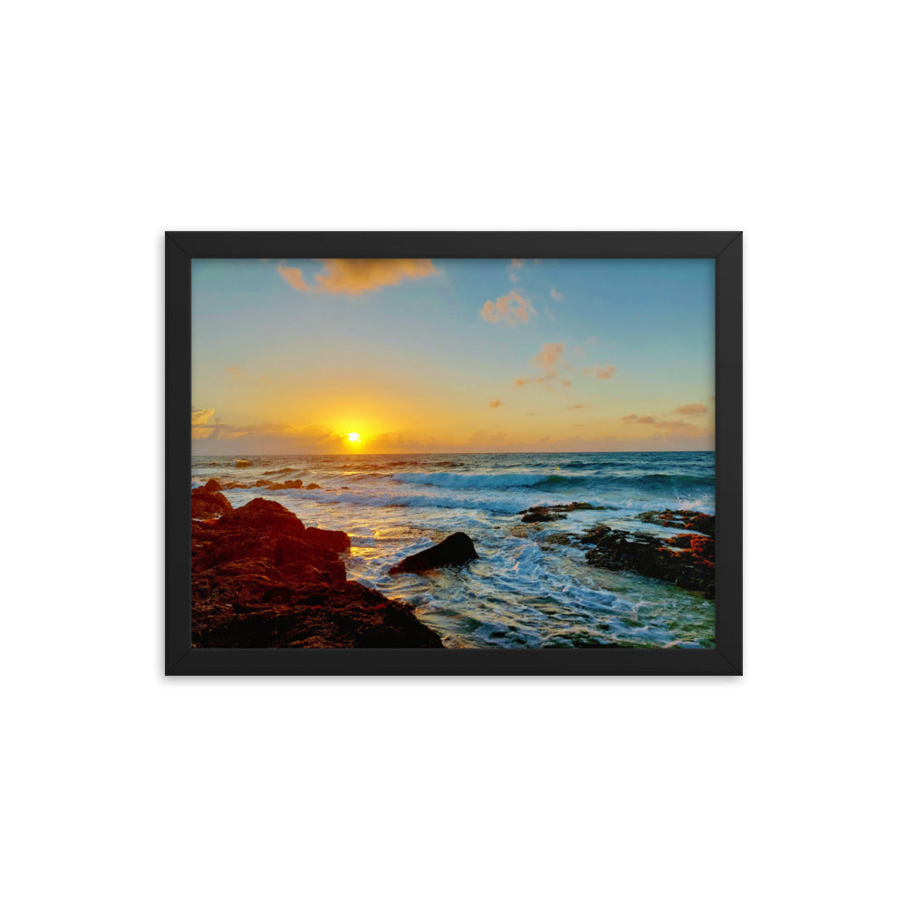 Morning Glory  |  Framed Print