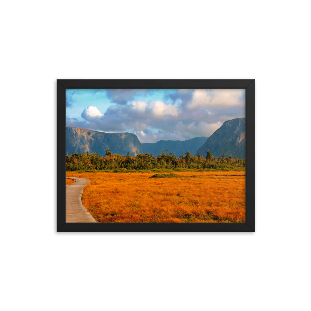 Gros Morne  |  Framed Print