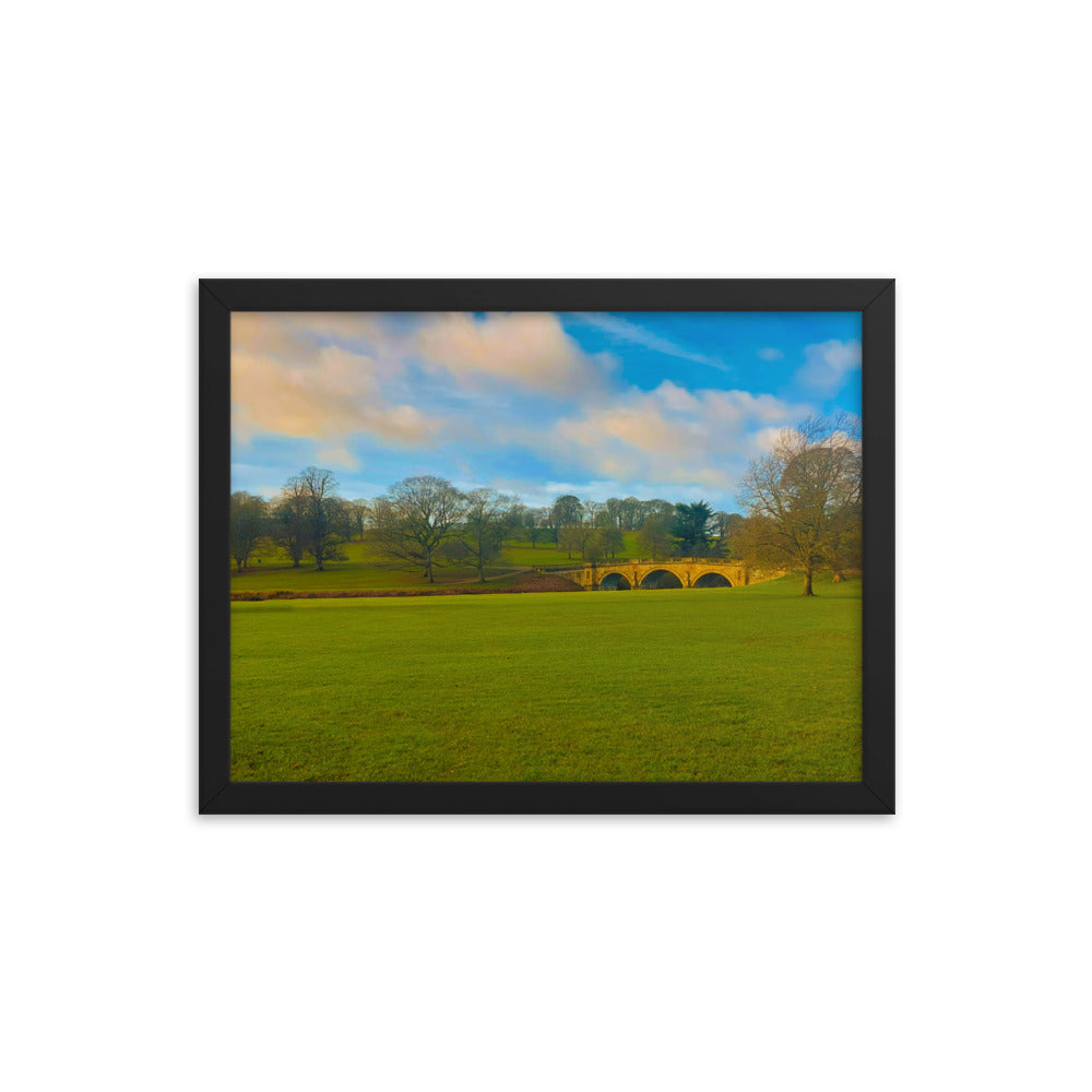 Leaves Are Gone  |  Framed Print