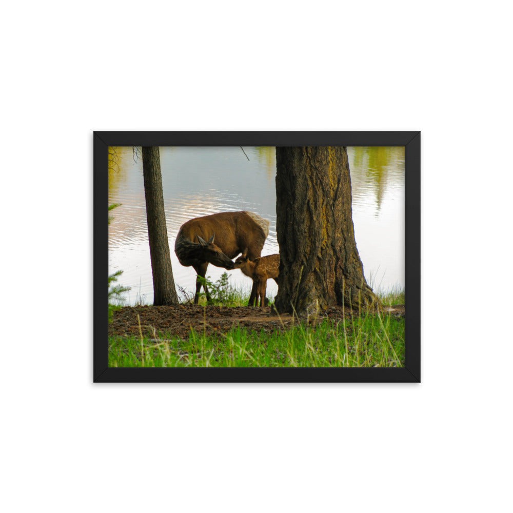 Kisses From Mom  |  Framed Print