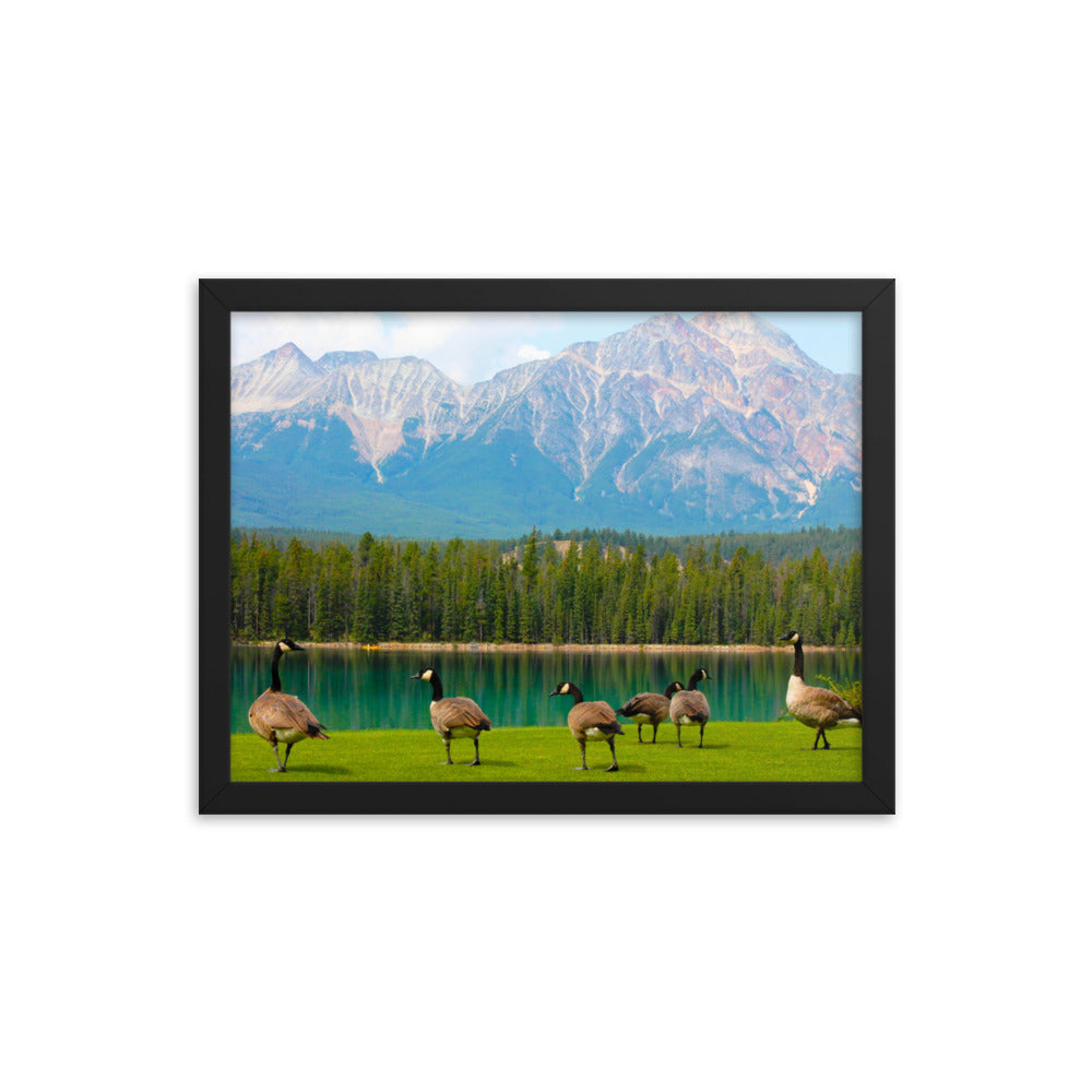 Canadians At The Lake  |  Framed Print