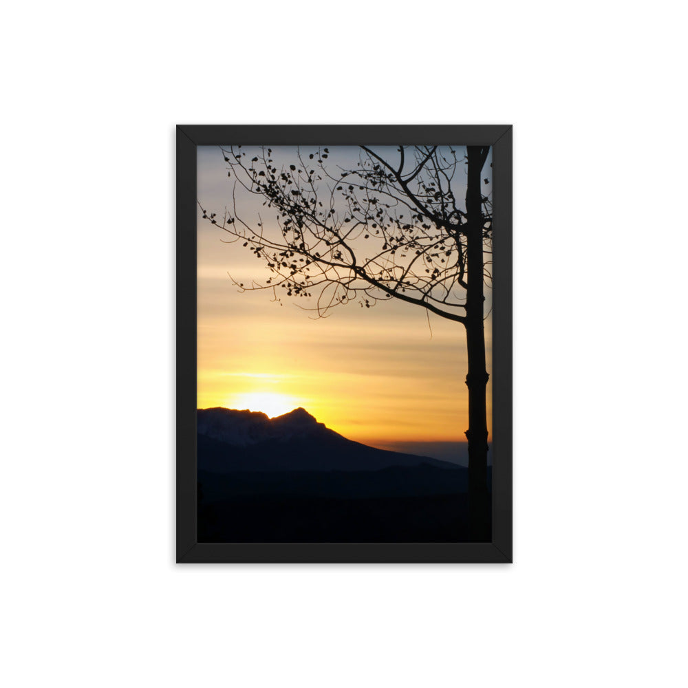 Shadow Frame  |  Framed Print