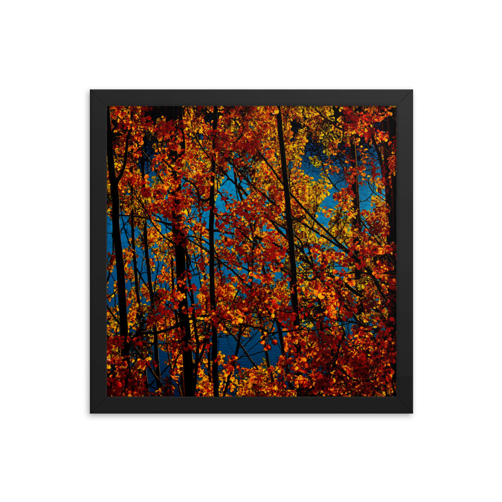 Falling In Love II  |  Framed Print