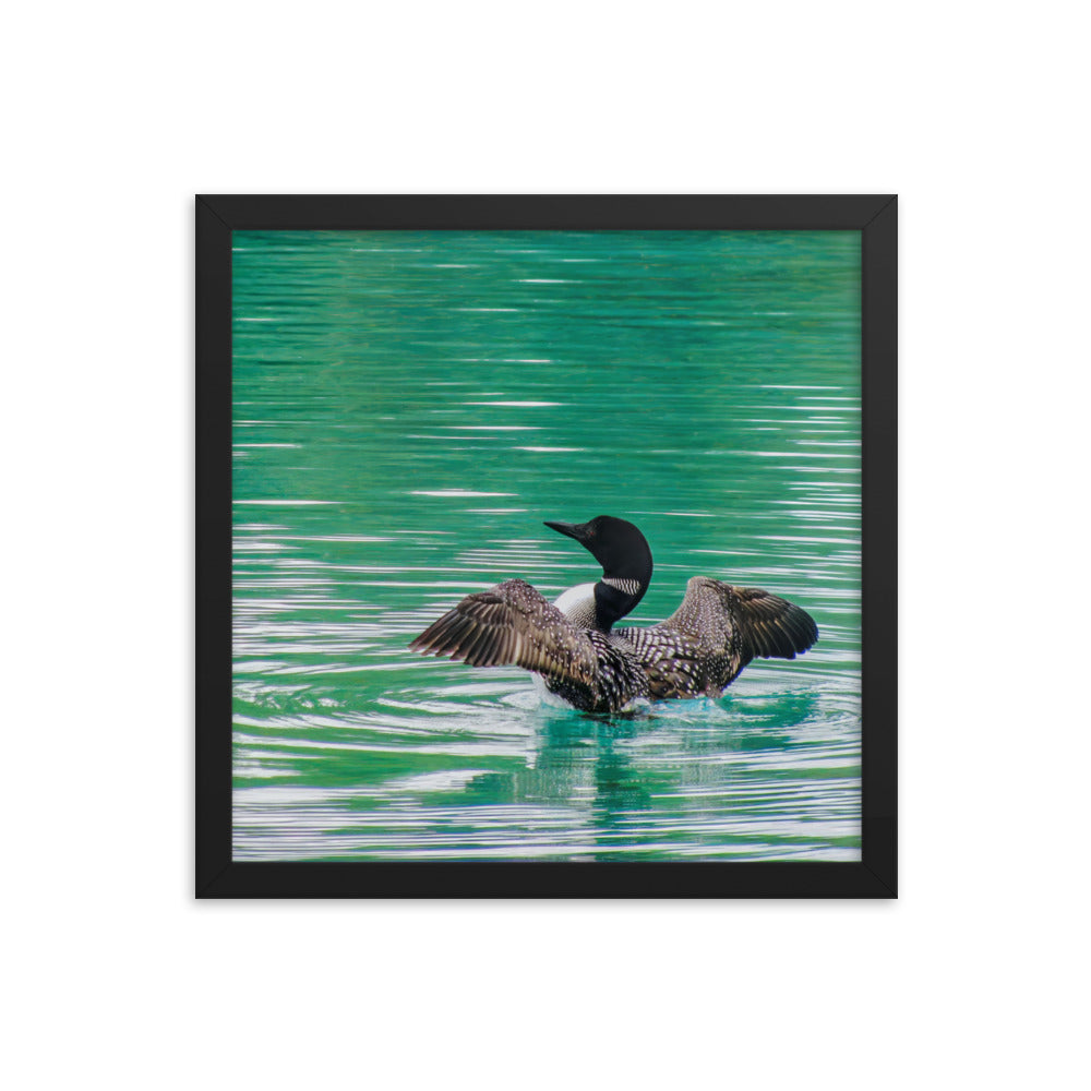 Loonie Loon  |  Framed Print