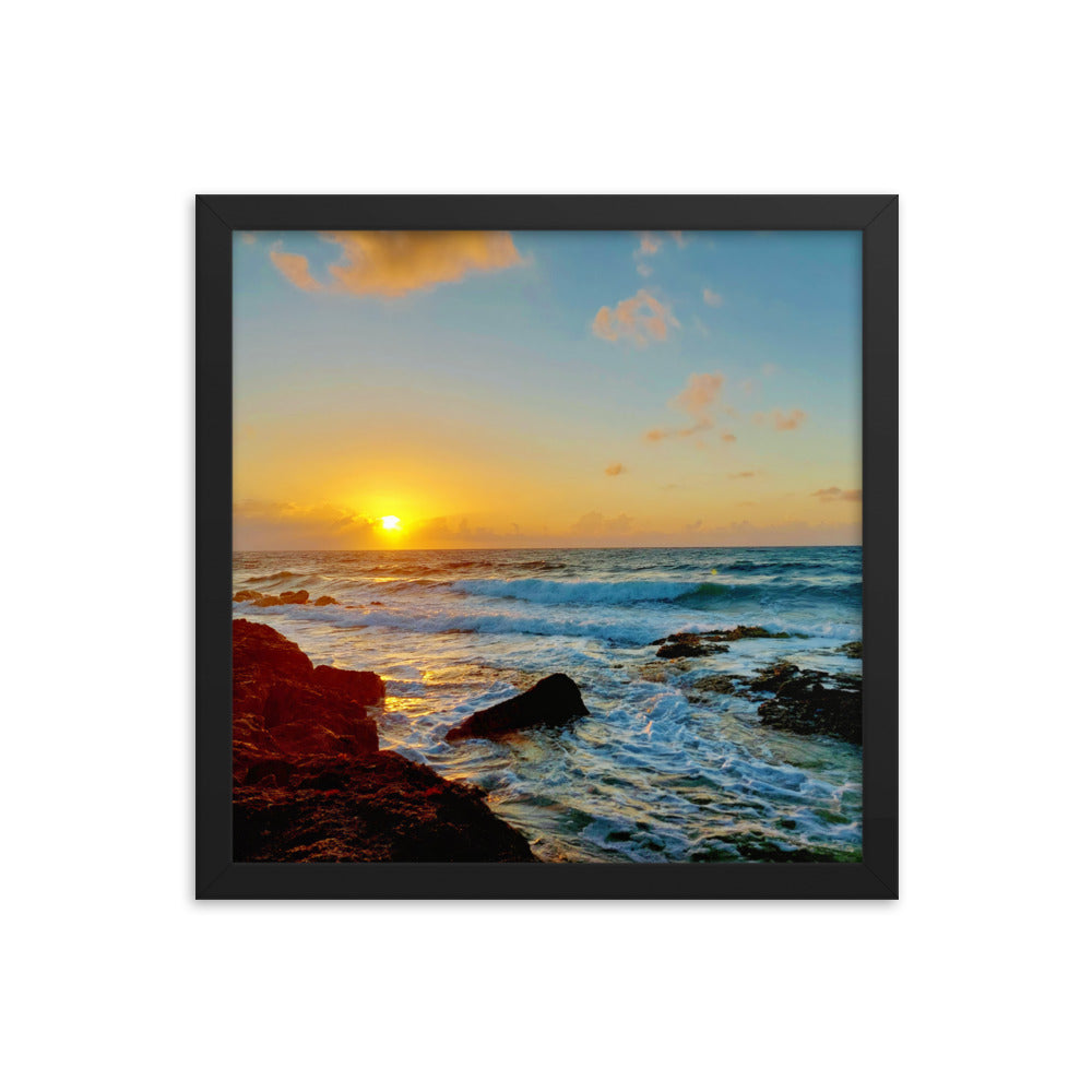 Morning Glory  |  Framed Print