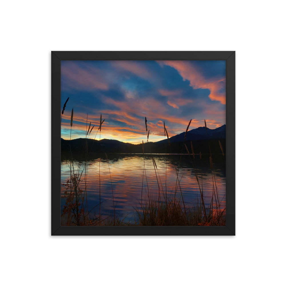 Sky Of Cotton  |  Framed Print