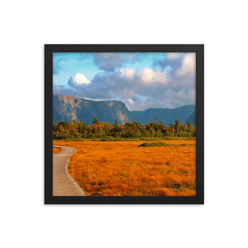 Gros Morne  |  Framed Print