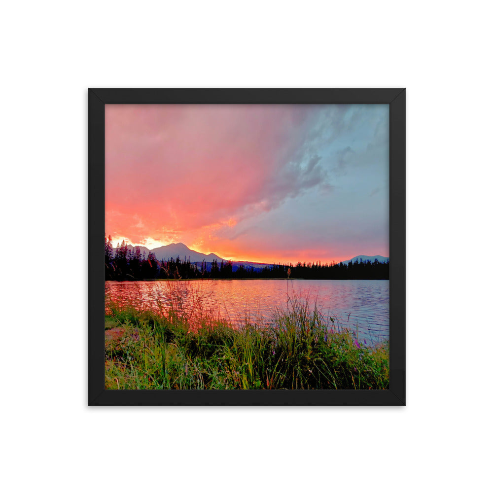 Delightfully Pink  |  Framed Print