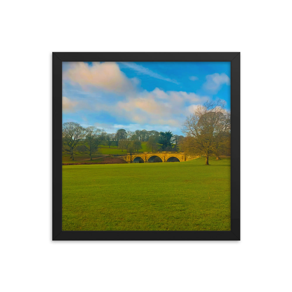 Leaves Are Gone  |  Framed Print