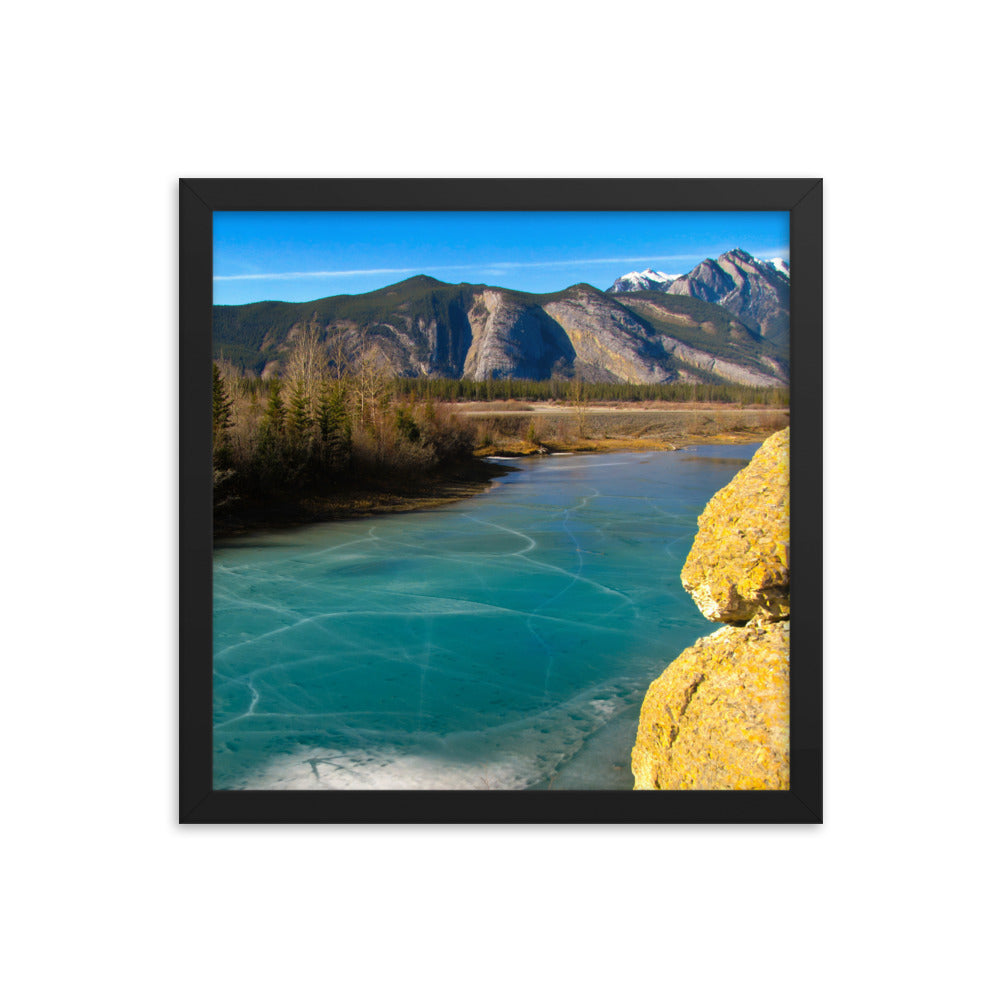 Spring Is Here  |  Framed Print