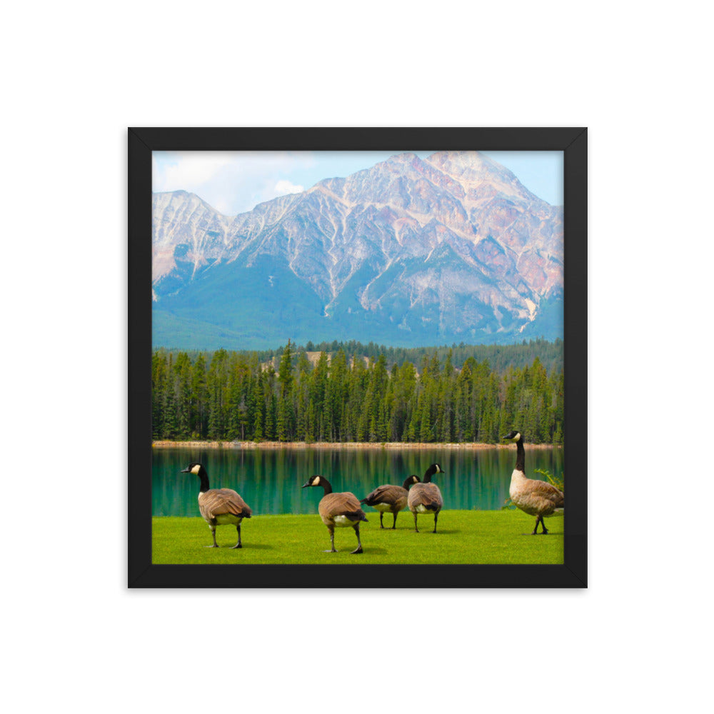 Canadians At The Lake  |  Framed Print