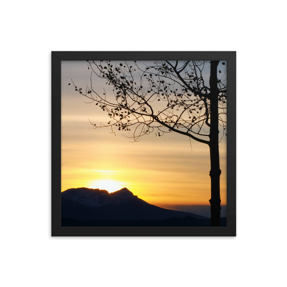 Shadow Frame  |  Framed Print