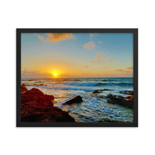 Morning Glory  |  Framed Print