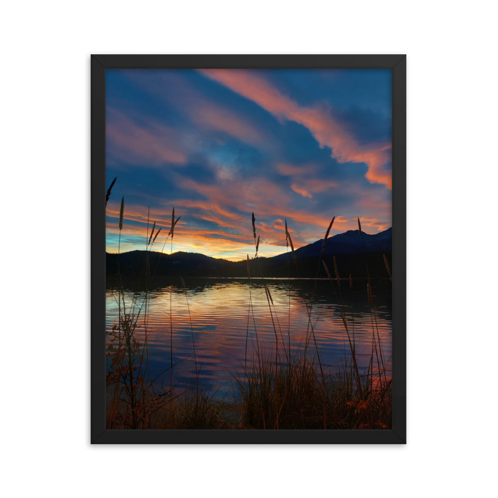 Sky Of Cotton  |  Framed Print