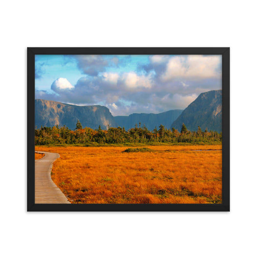 Gros Morne  |  Framed Print