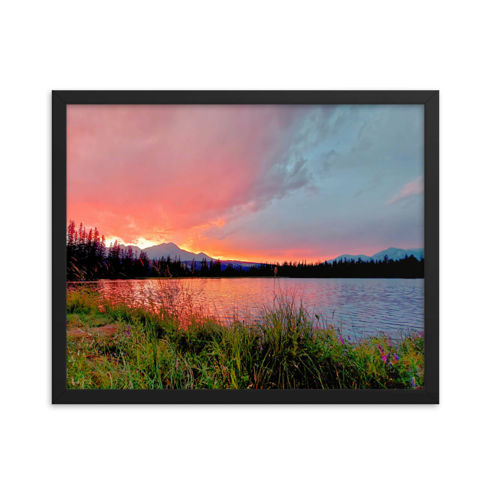 Delightfully Pink  |  Framed Print