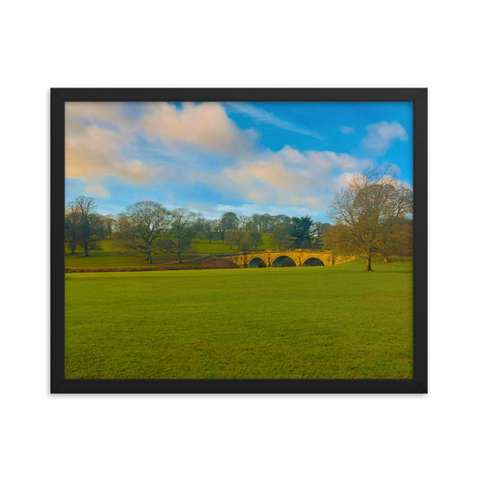 Leaves Are Gone  |  Framed Print