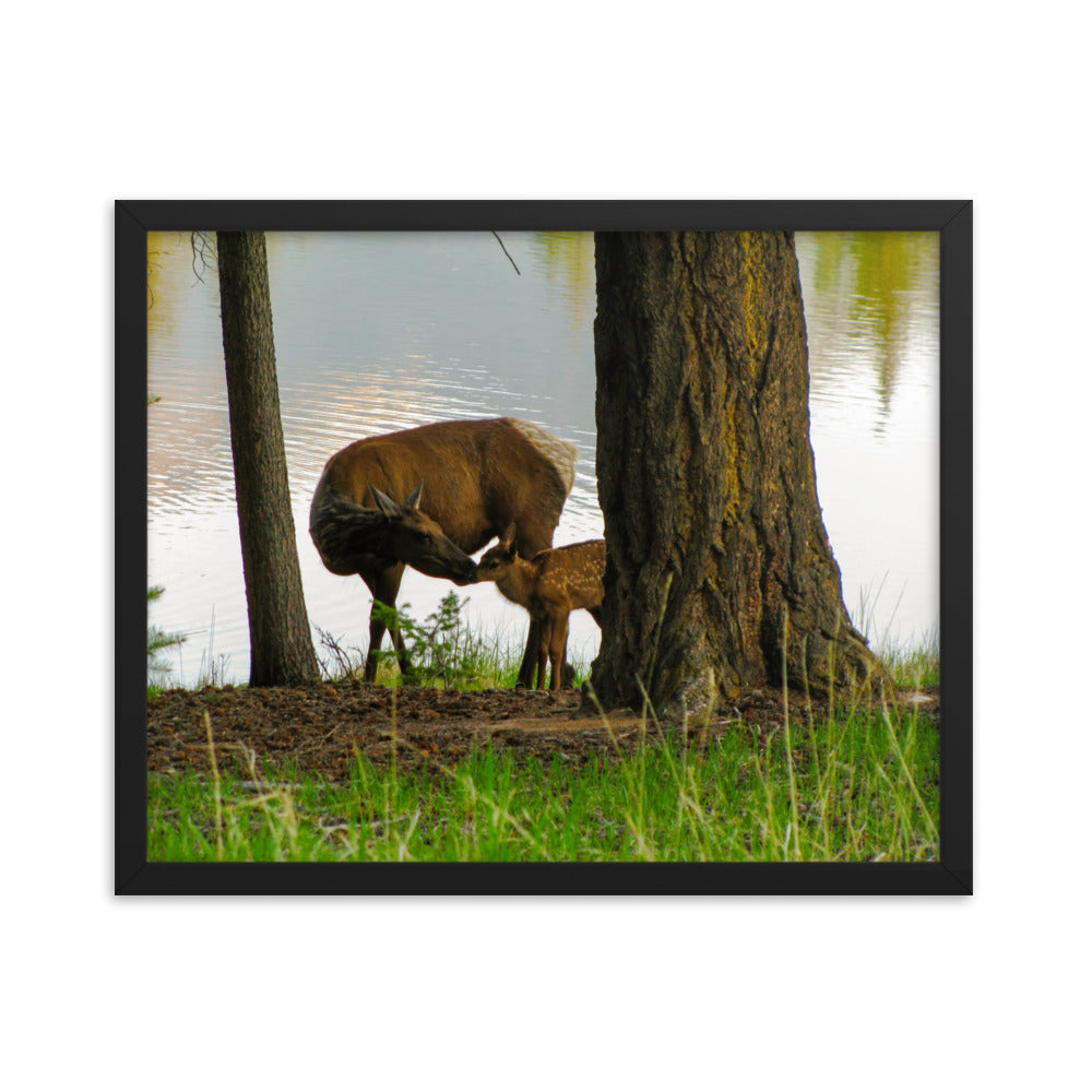 Kisses From Mom  |  Framed Print