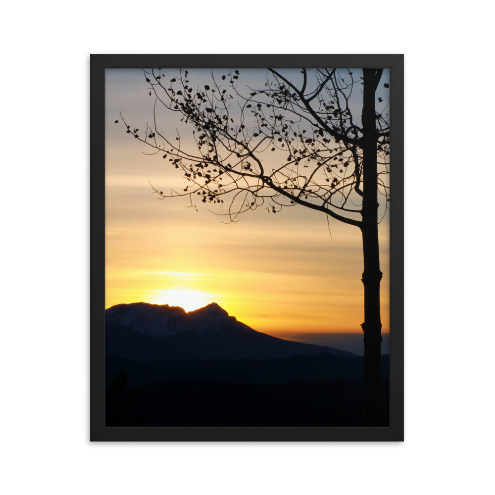 Shadow Frame  |  Framed Print