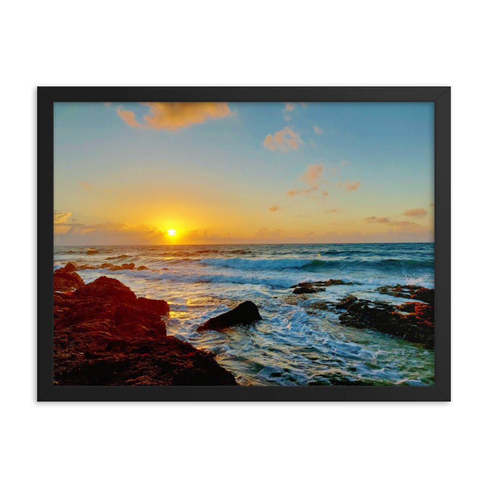 Morning Glory  |  Framed Print