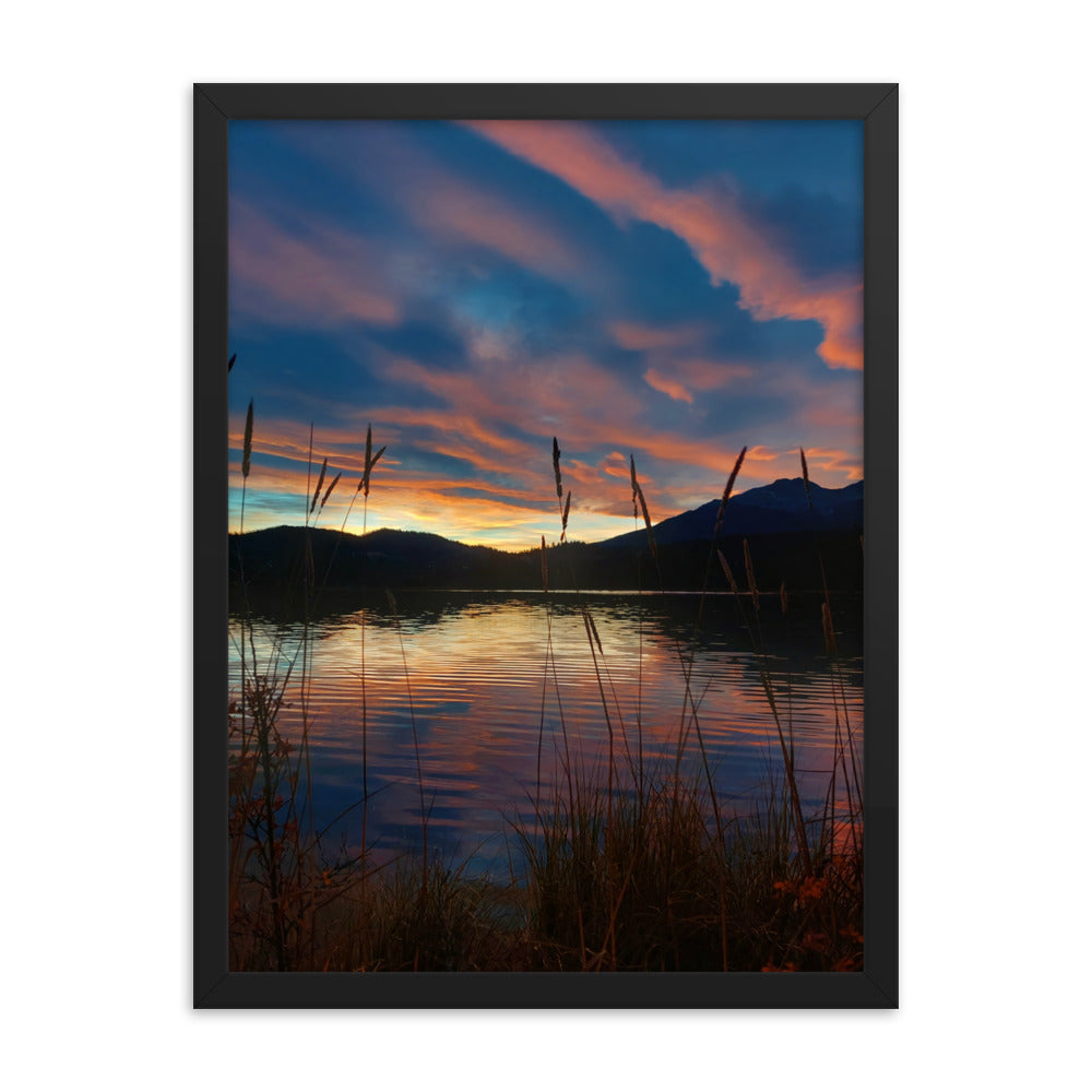 Sky Of Cotton  |  Framed Print