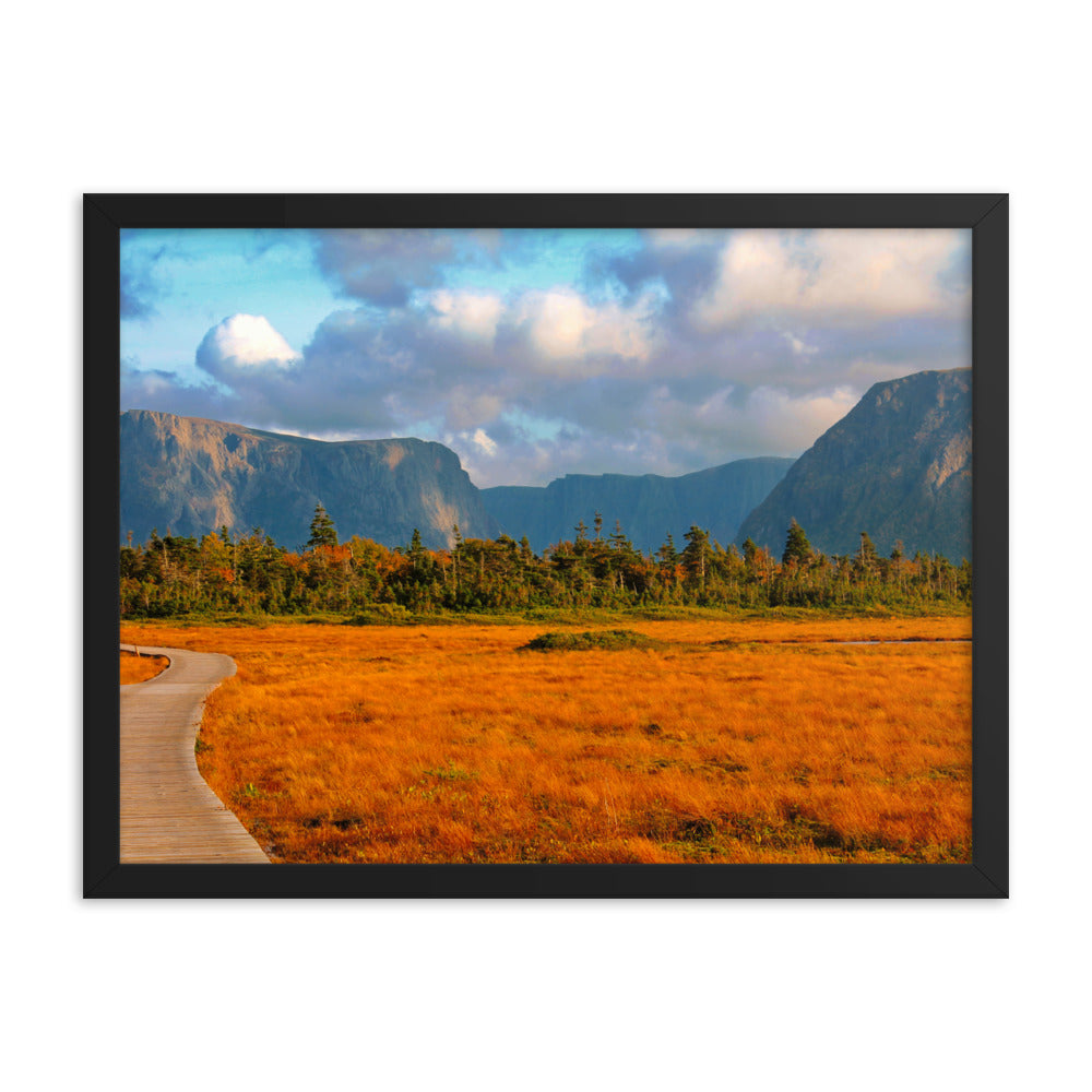 Gros Morne  |  Framed Print