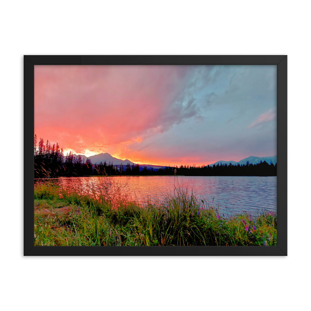 Delightfully Pink  |  Framed Print