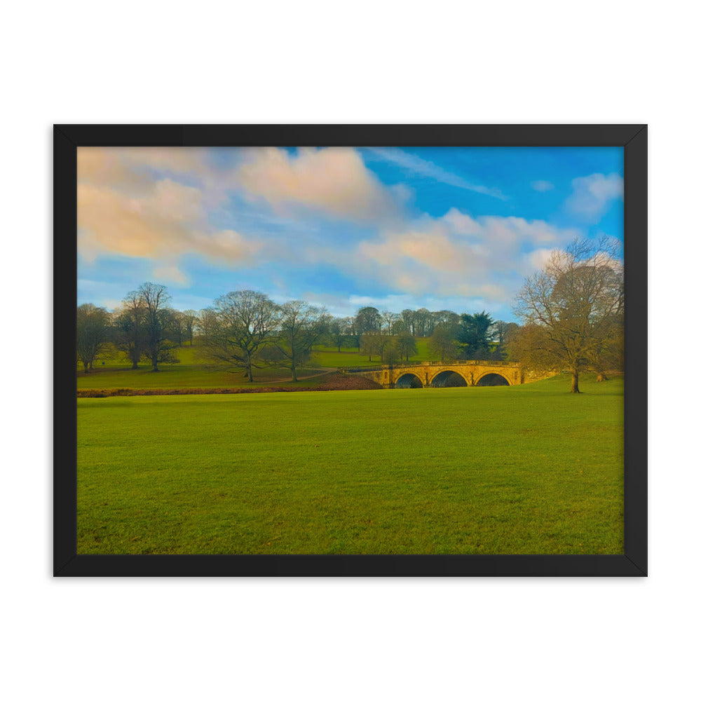 Leaves Are Gone  |  Framed Print