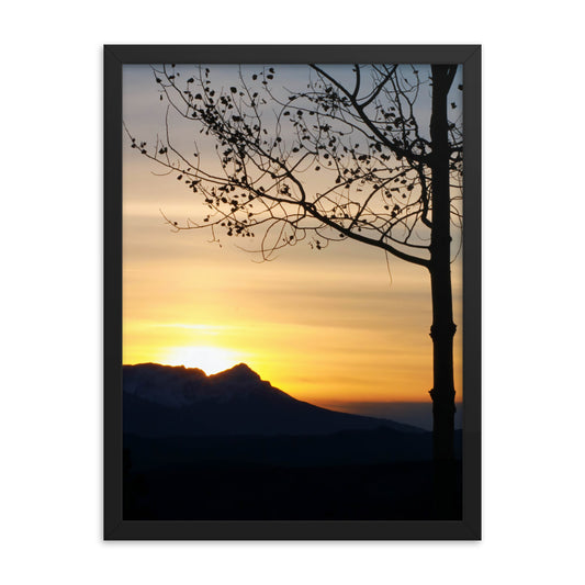 Shadow Frame  |  Framed Print