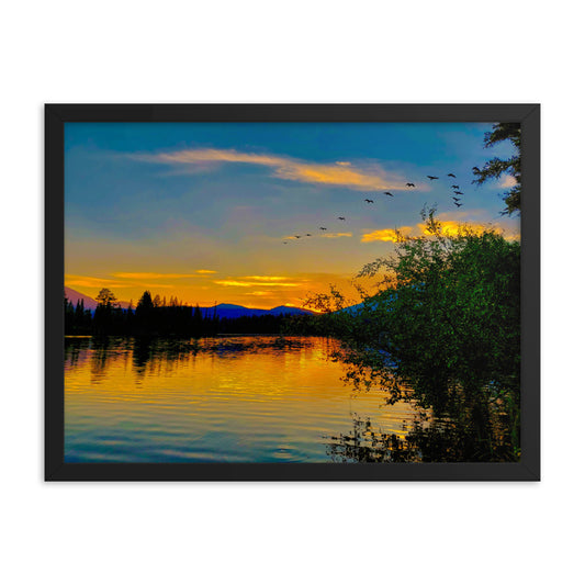 Back For The Summer  |  Framed Print