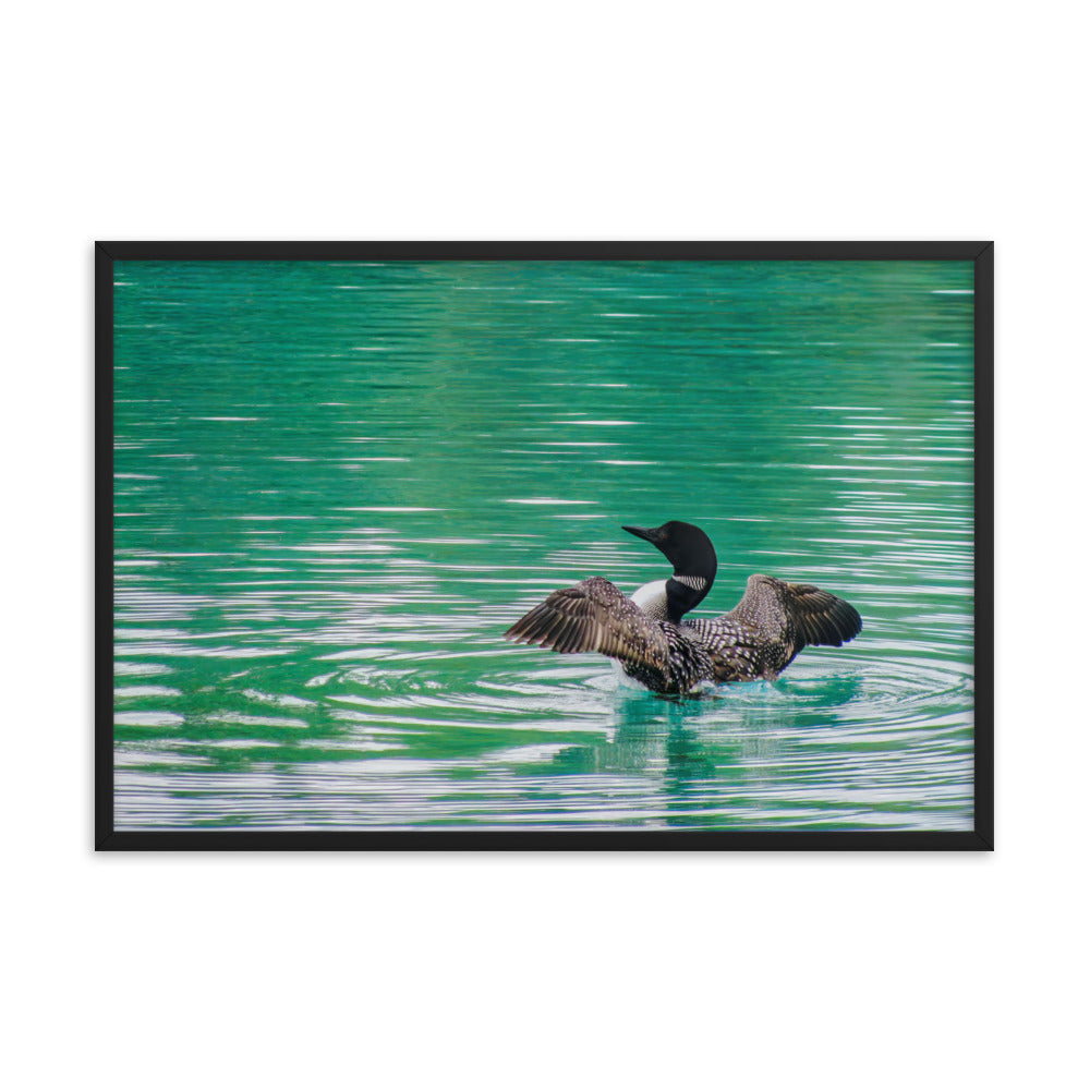 Loonie Loon  |  Framed Print