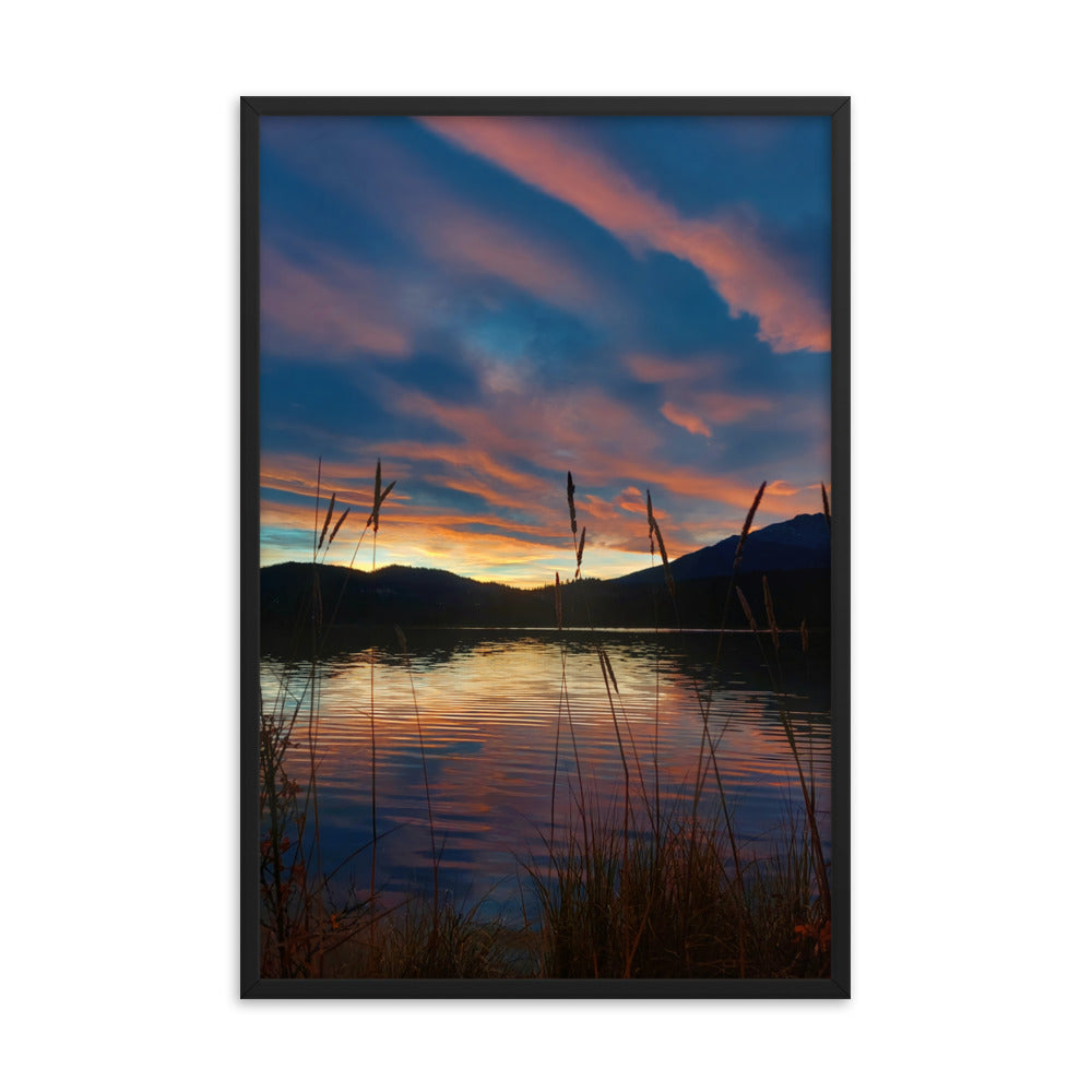 Sky Of Cotton  |  Framed Print