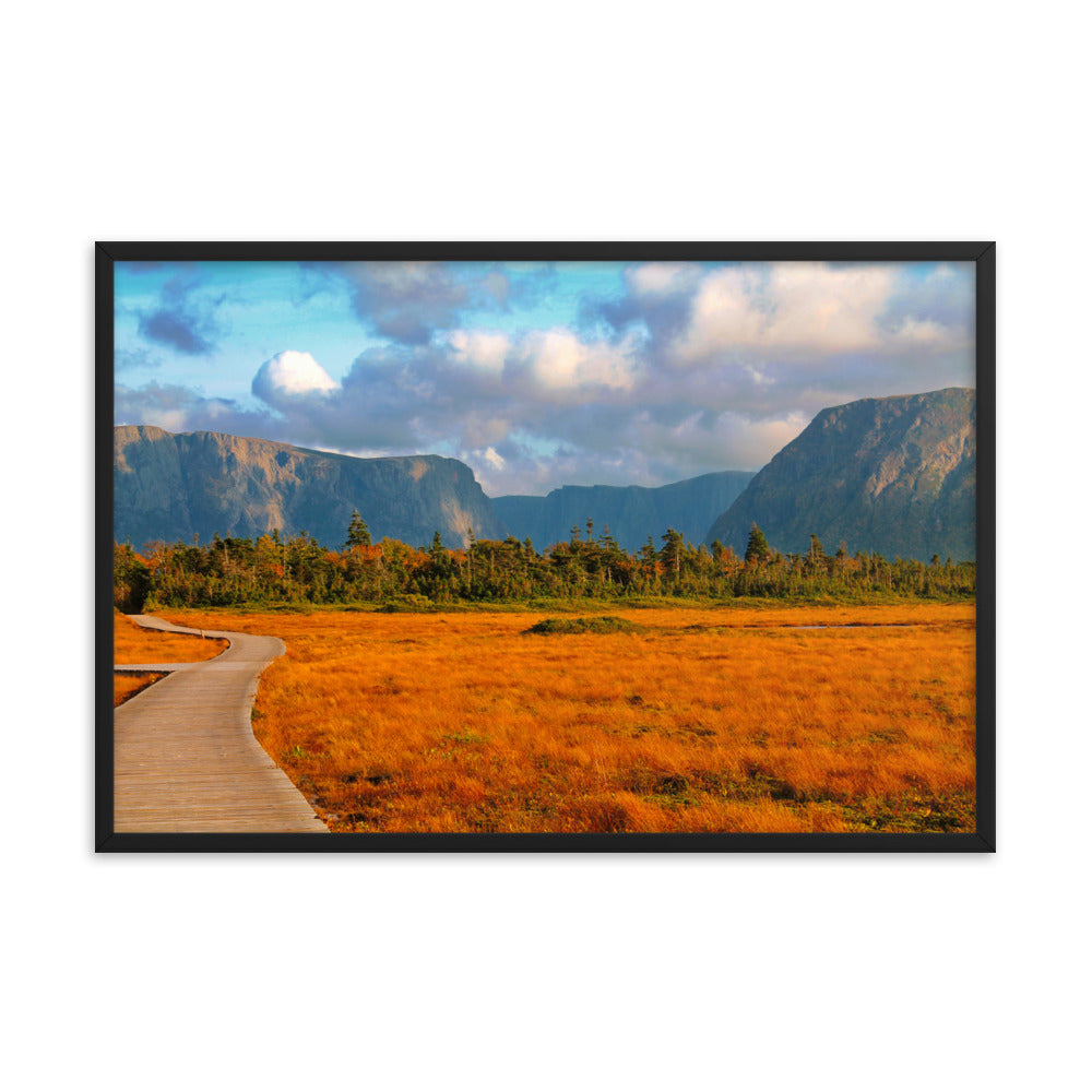 Gros Morne  |  Framed Print