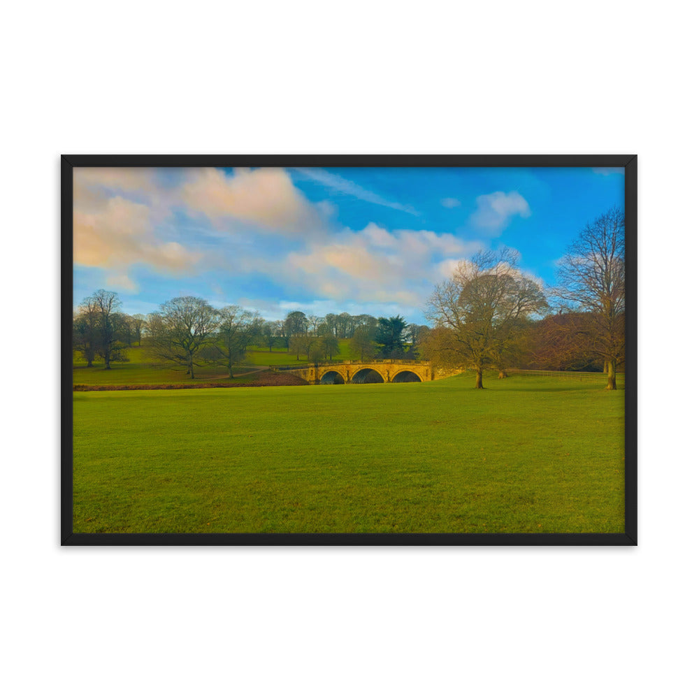 Leaves Are Gone  |  Framed Print