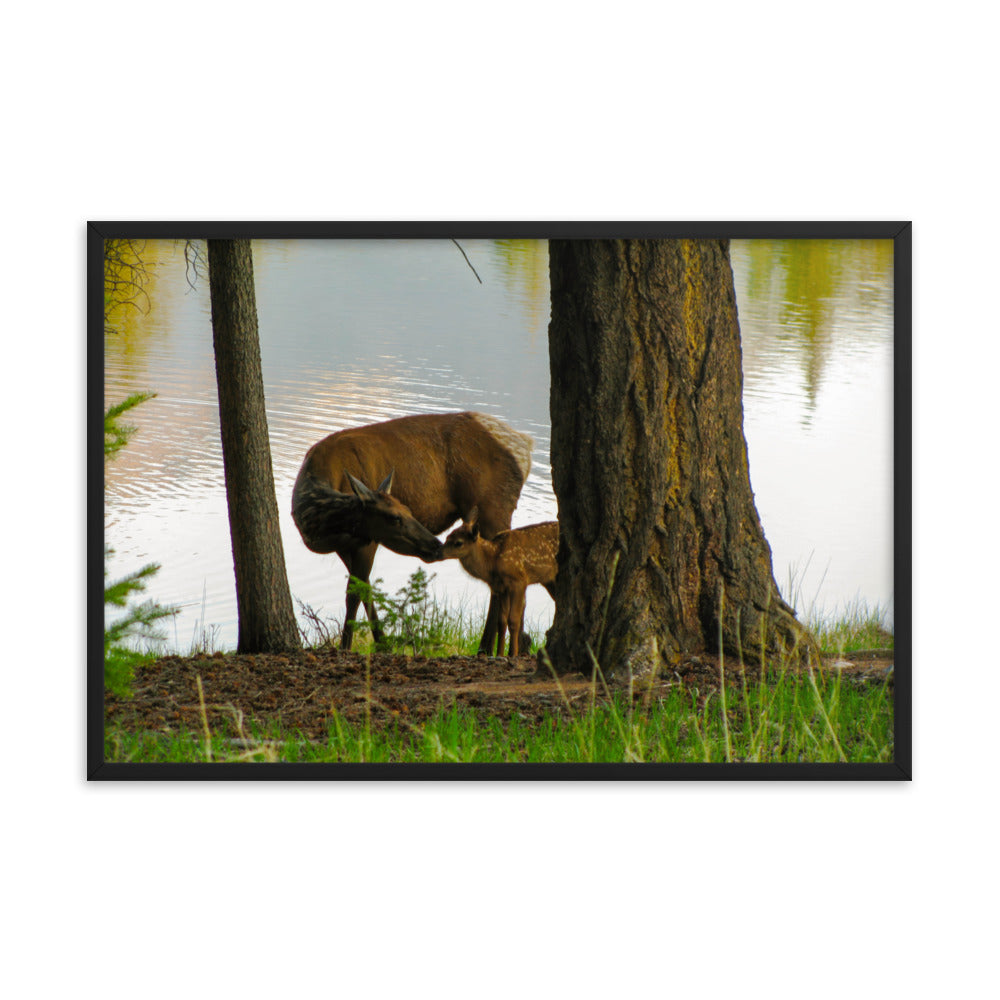 Kisses From Mom  |  Framed Print