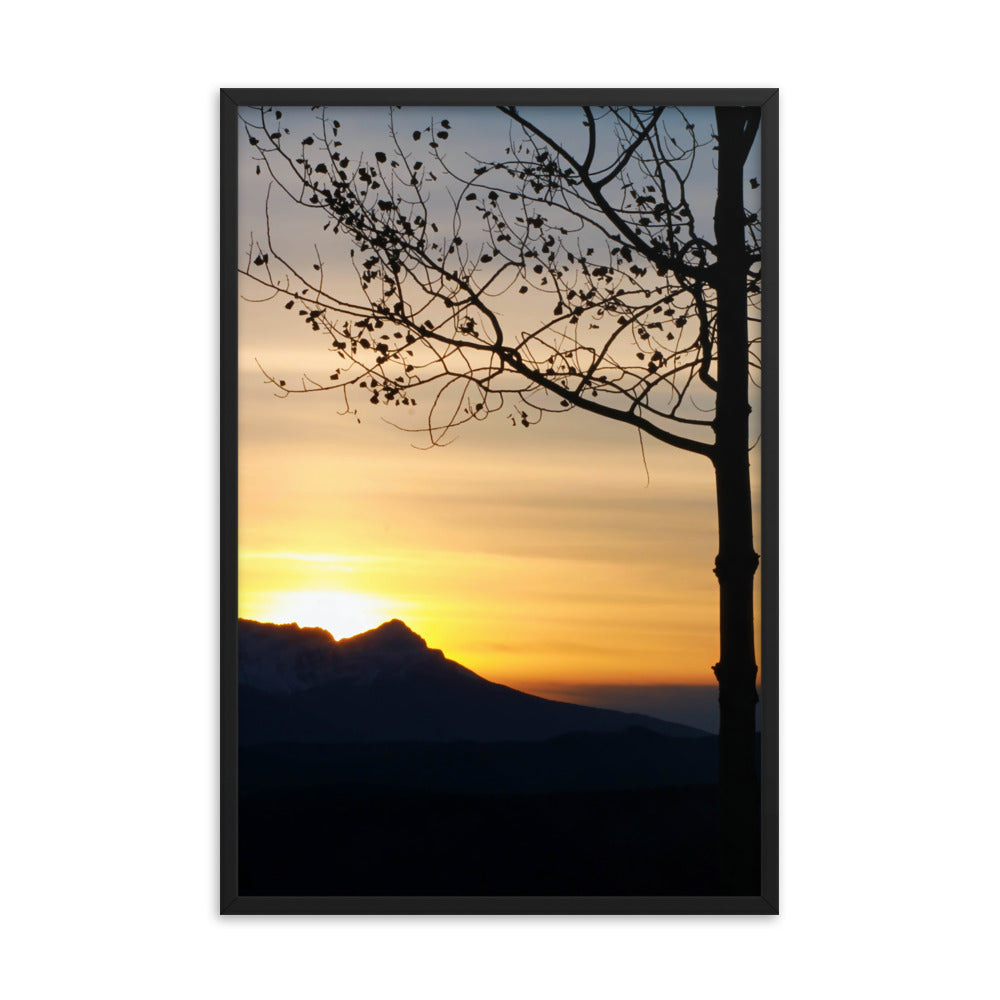 Shadow Frame  |  Framed Print