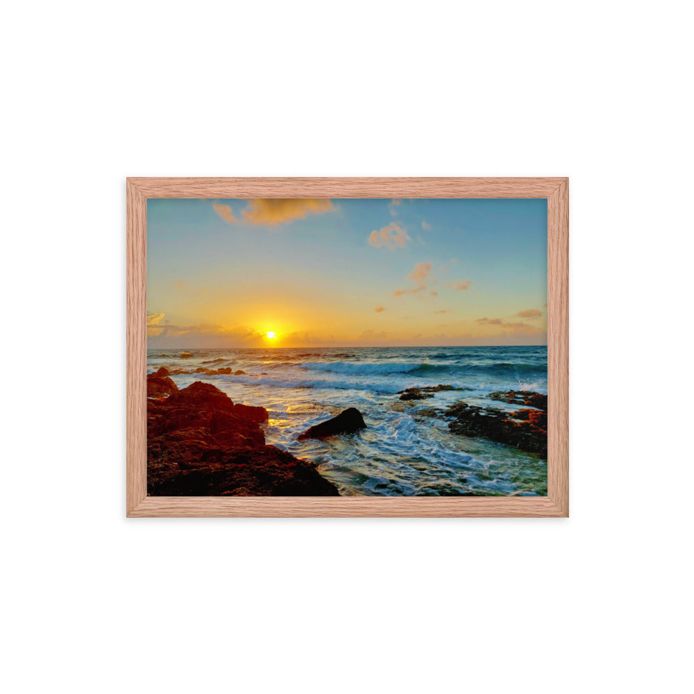 Morning Glory  |  Framed Print