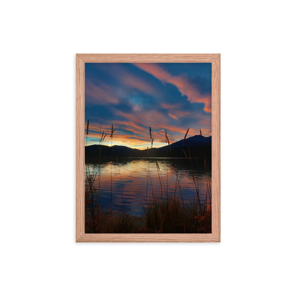 Sky Of Cotton  |  Framed Print