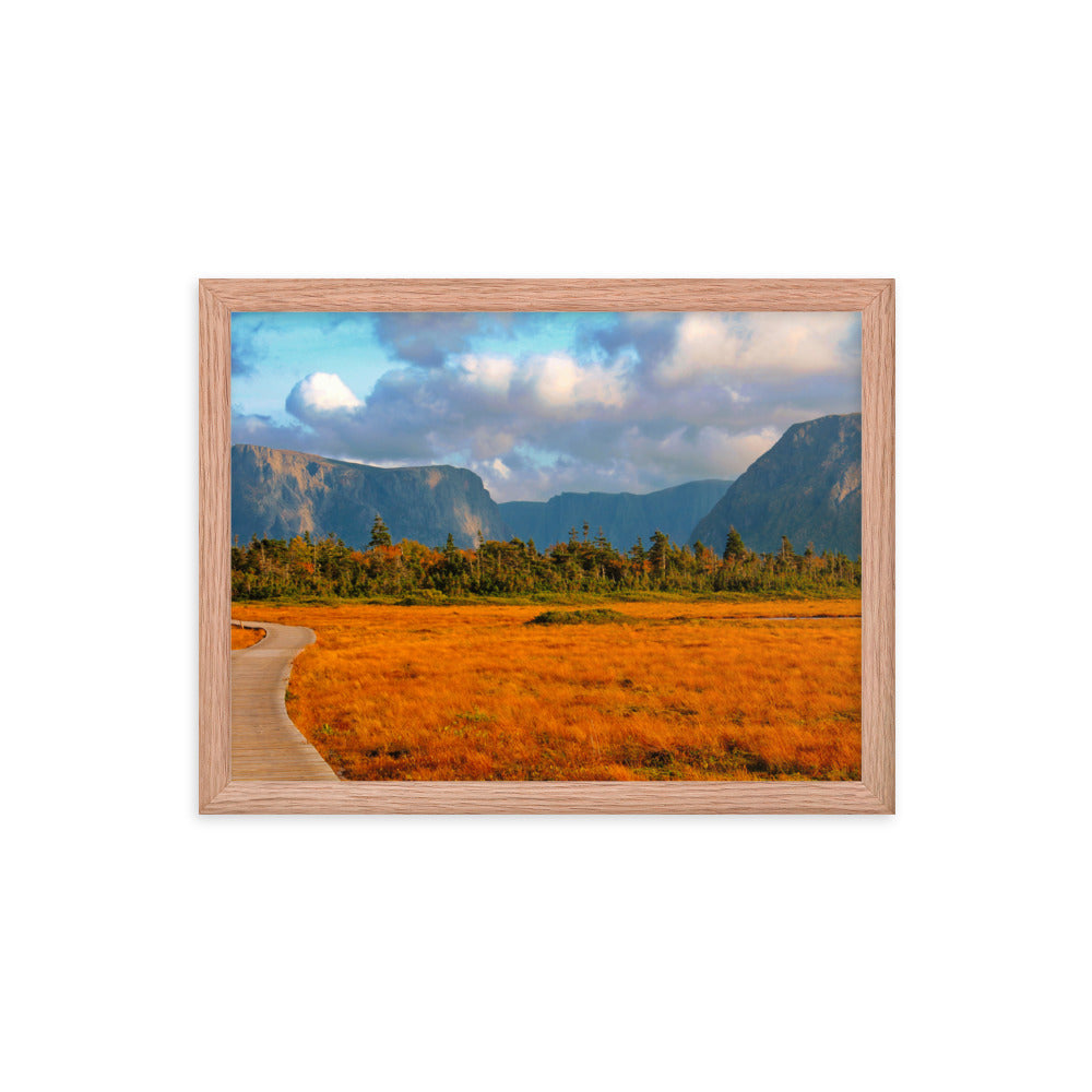 Gros Morne  |  Framed Print