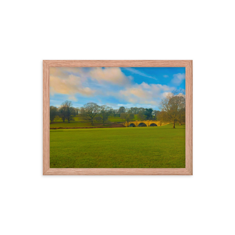 Leaves Are Gone  |  Framed Print