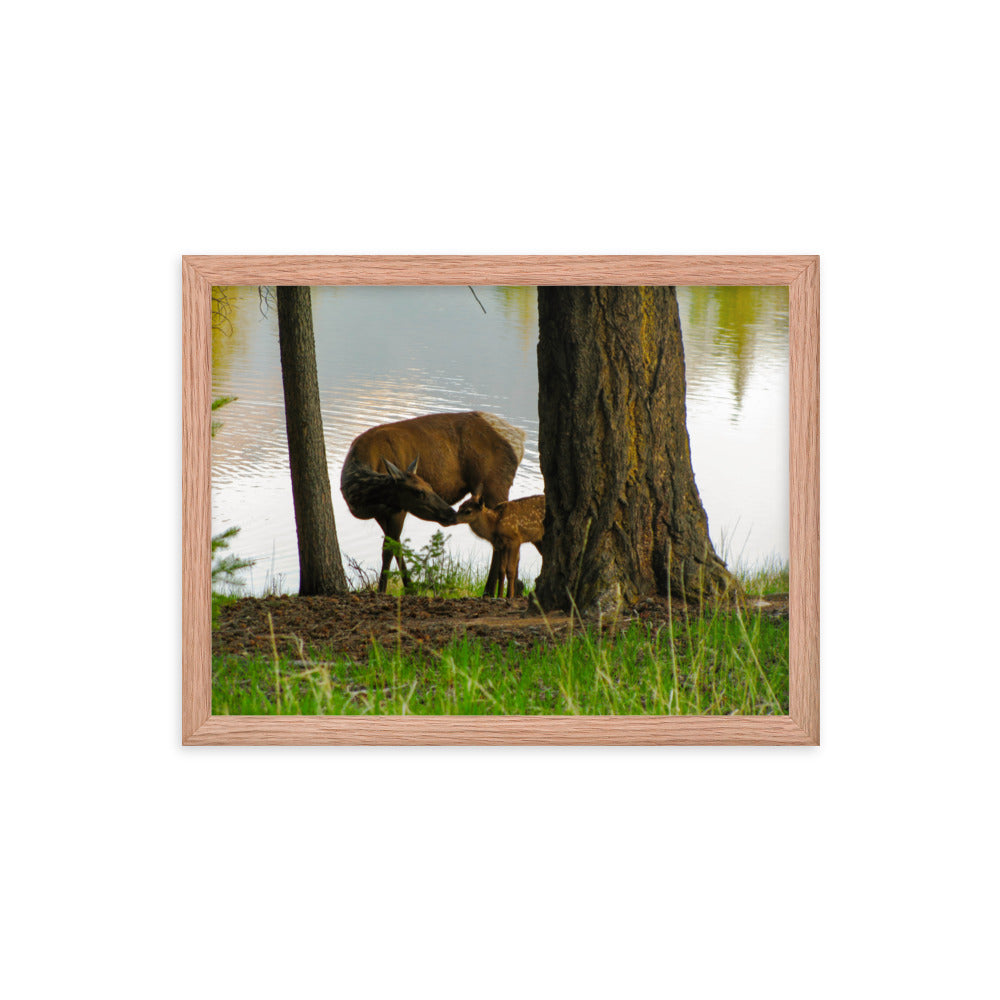 Kisses From Mom  |  Framed Print