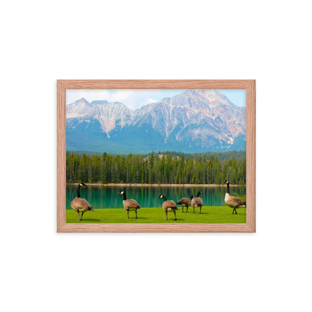 Canadians At The Lake  |  Framed Print