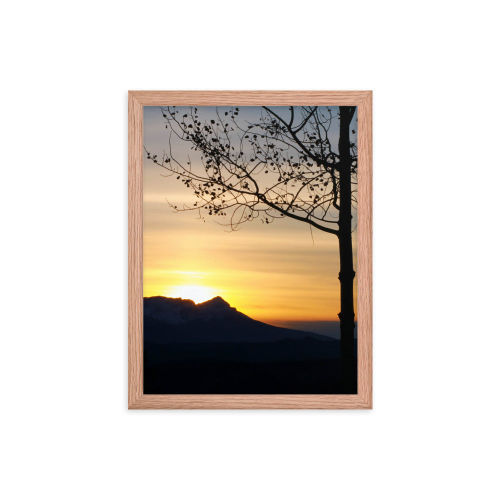 Shadow Frame  |  Framed Print