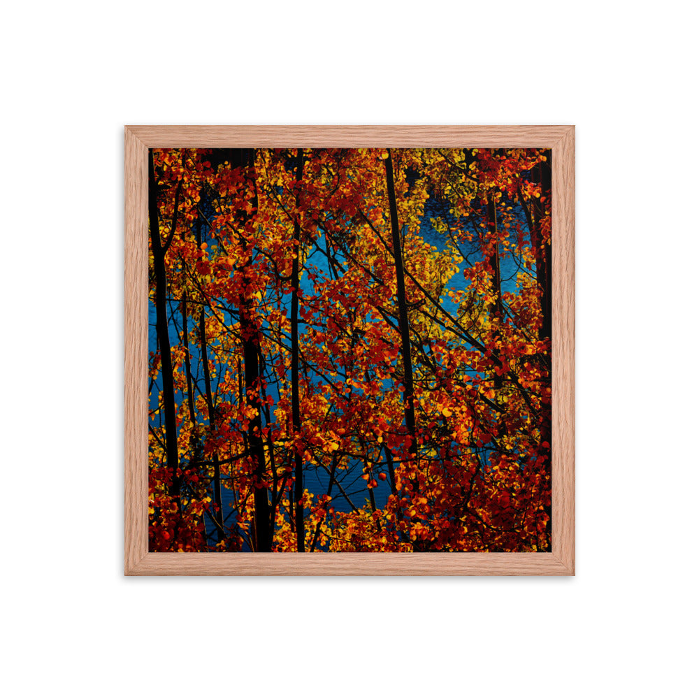 Falling In Love II  |  Framed Print