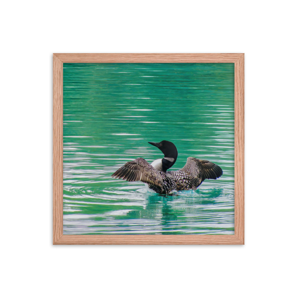 Loonie Loon  |  Framed Print