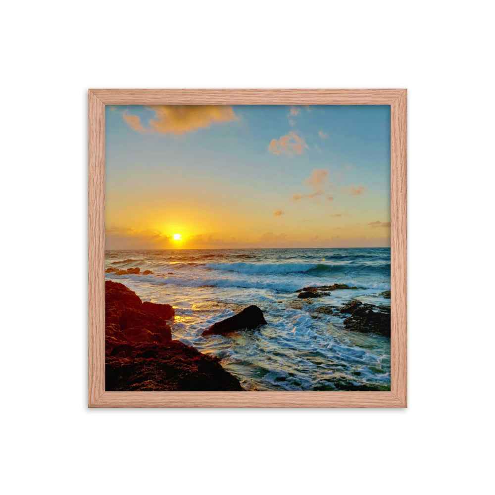 Morning Glory  |  Framed Print