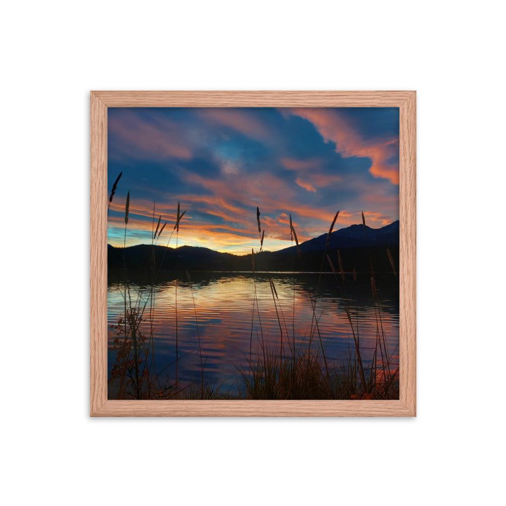 Sky Of Cotton  |  Framed Print