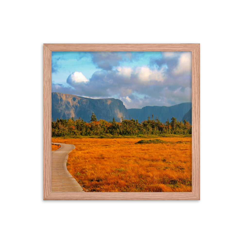 Gros Morne  |  Framed Print