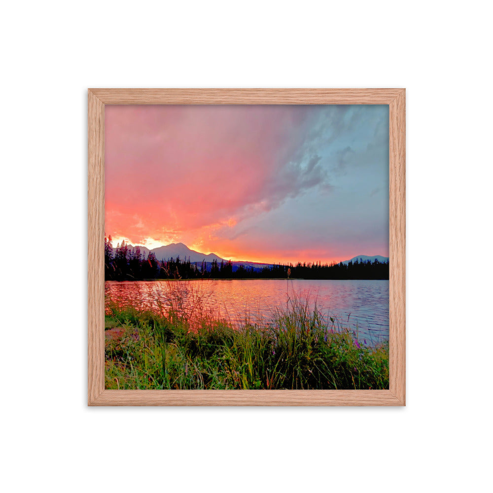 Delightfully Pink  |  Framed Print